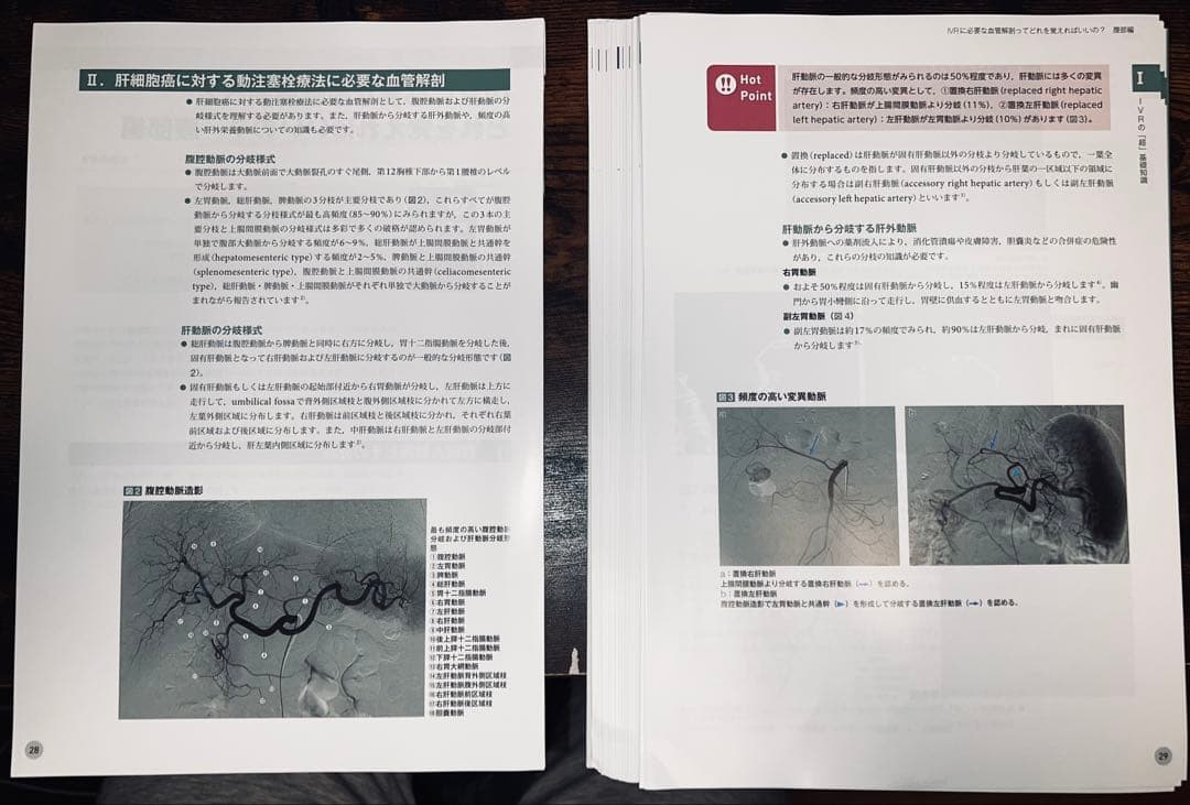 これから始めるIVR