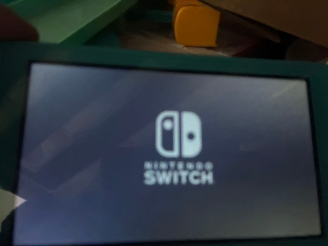 ヨ*ウ様 Nintendo Switch Light