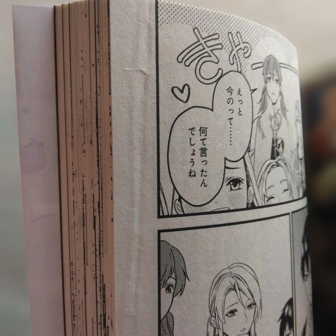 ら*」様 穏やか貴族の休暇のすすめ。1巻～14巻＋毎日メシ 　シミ　シワ　汚れ