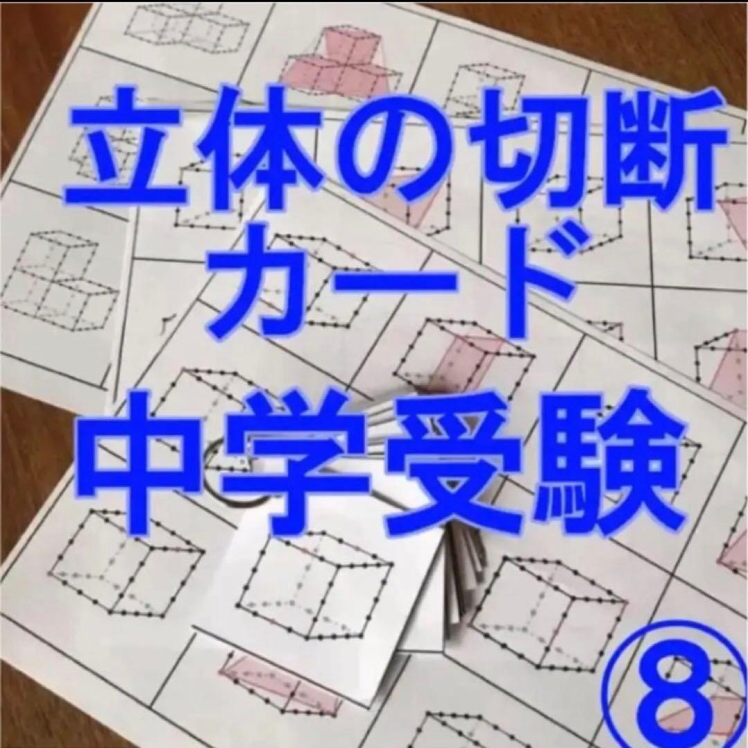 ⭐︎そら⭐︎立体の切断模型 ①②③④⑤⑥⑦⑧⑨⑩セット