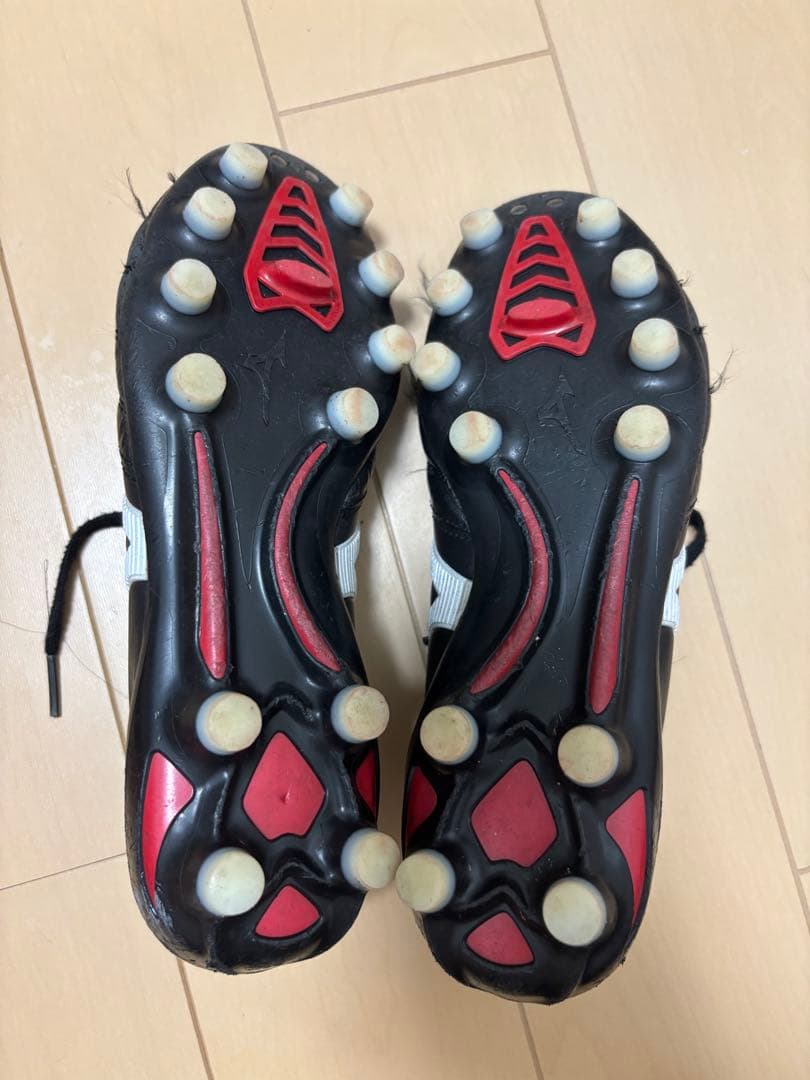 モレリアネオ2 23cm