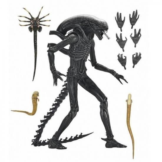 NECA エイリアンロムルスXX121 訳あり品