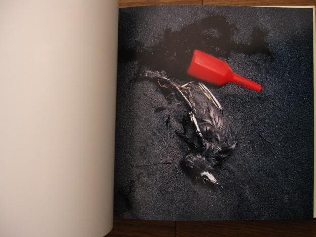 VISIONS of JAPAN TOMATSU Si　東松照明