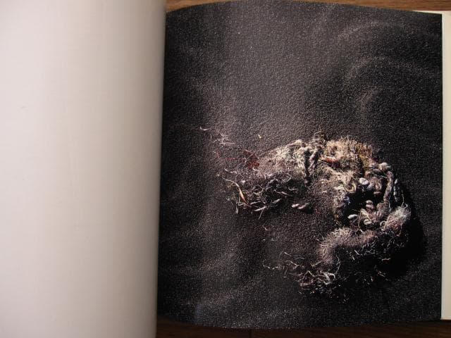 VISIONS of JAPAN TOMATSU Si　東松照明