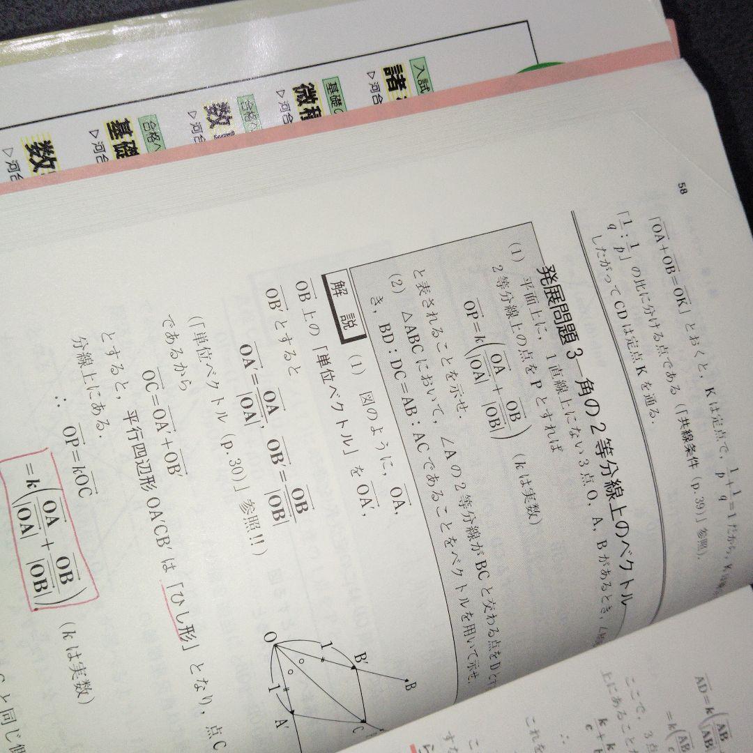 入試数学 諸橋の代数・幾何講義　諸橋実　1990年発行初版　河合塾シリーズ　絶版