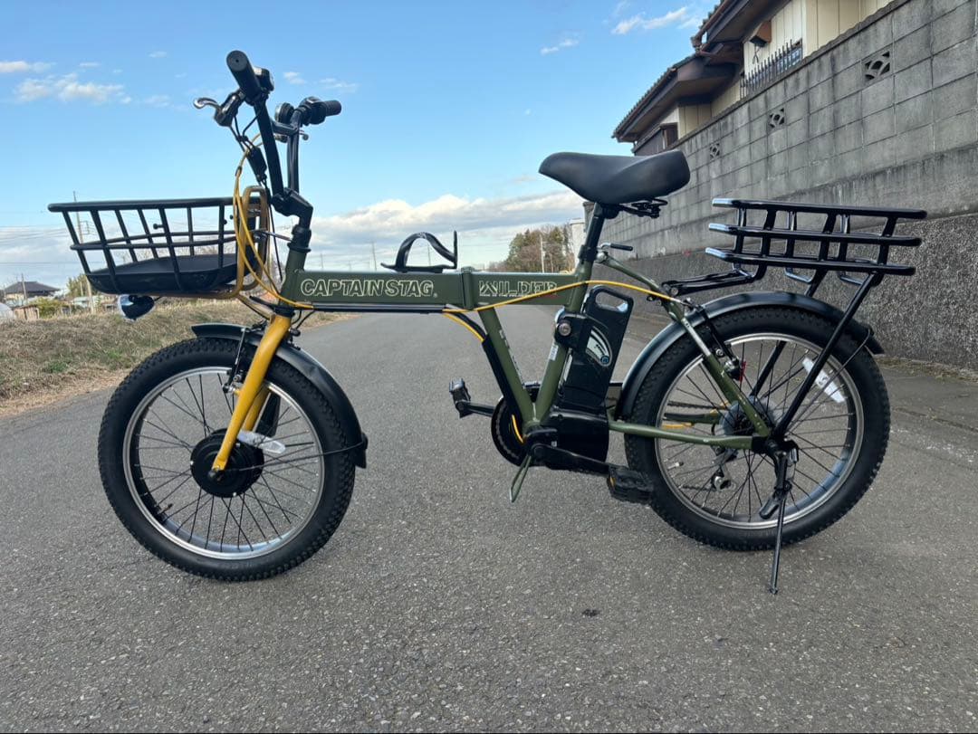折りたたみ電動アシスト自転車　 PELTECH ペルテック 2023年モデル