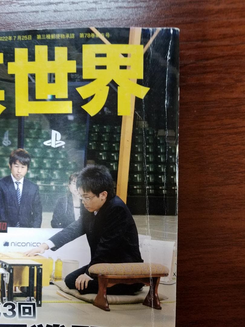 「将棋世界」美品　10冊　2019年5月～12月号ほか