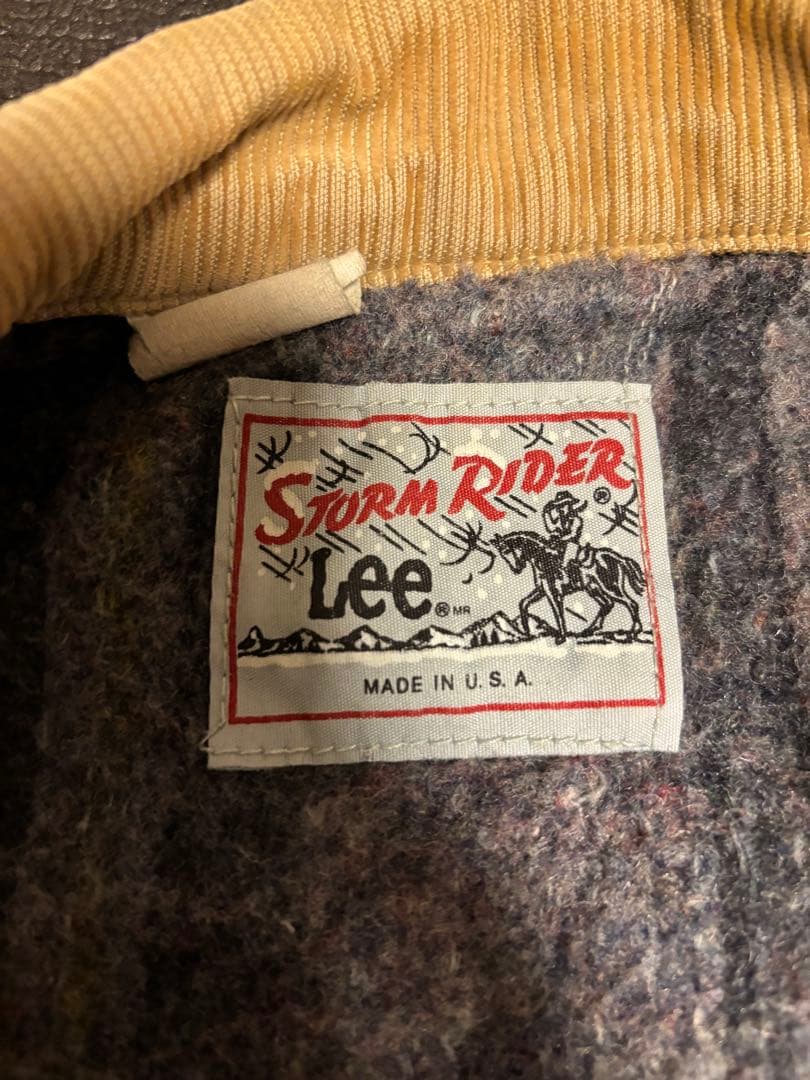 Lee ストームライダー STORM RIDER
