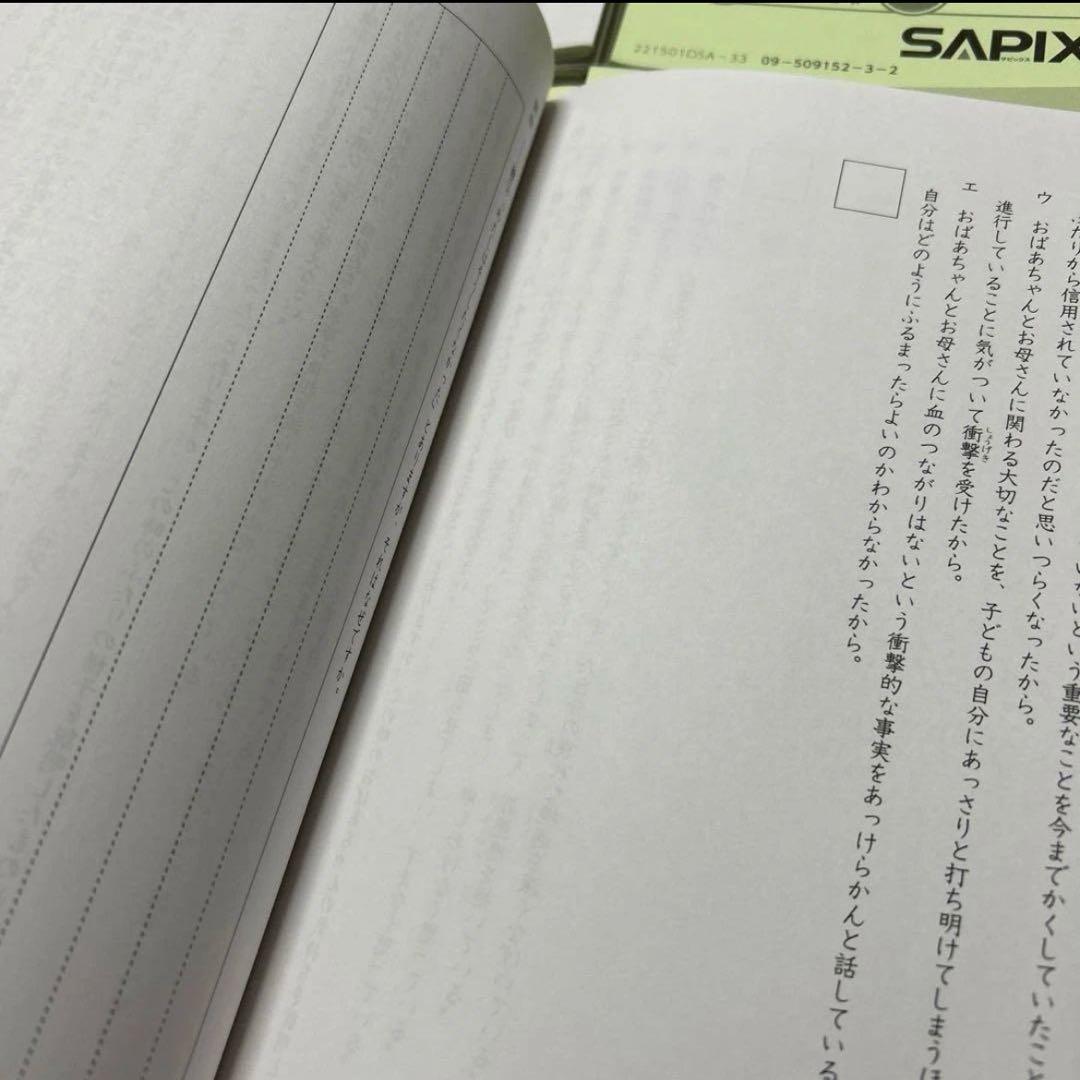 ㉔た　書き込み少なめ❣️サピックス　SAPIX 国語 Aテキスト　5年　基礎と実戦