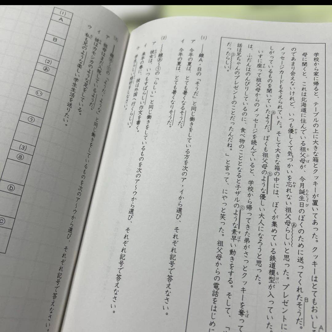 ㉔た　書き込み少なめ❣️サピックス　SAPIX 国語 Aテキスト　5年　基礎と実戦