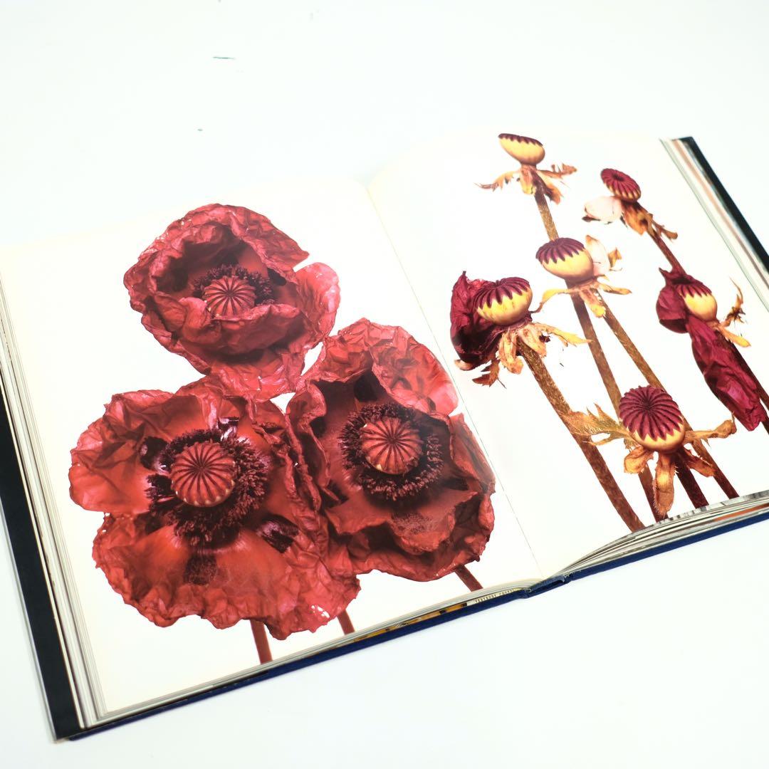 アート・デザイン・音楽 ON THE EDGE IMAGES FROM 100 YEARS VOGUE