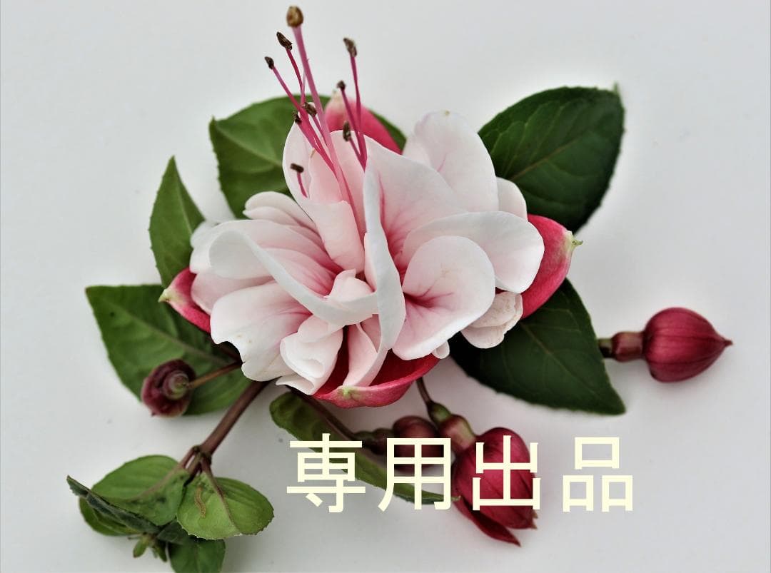 minnnn.☆即購入不可様☆専用