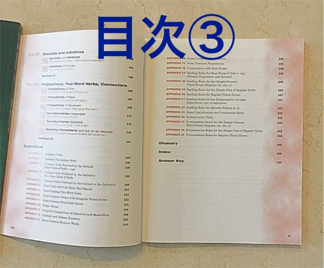 洋書 Grammar Express Basic