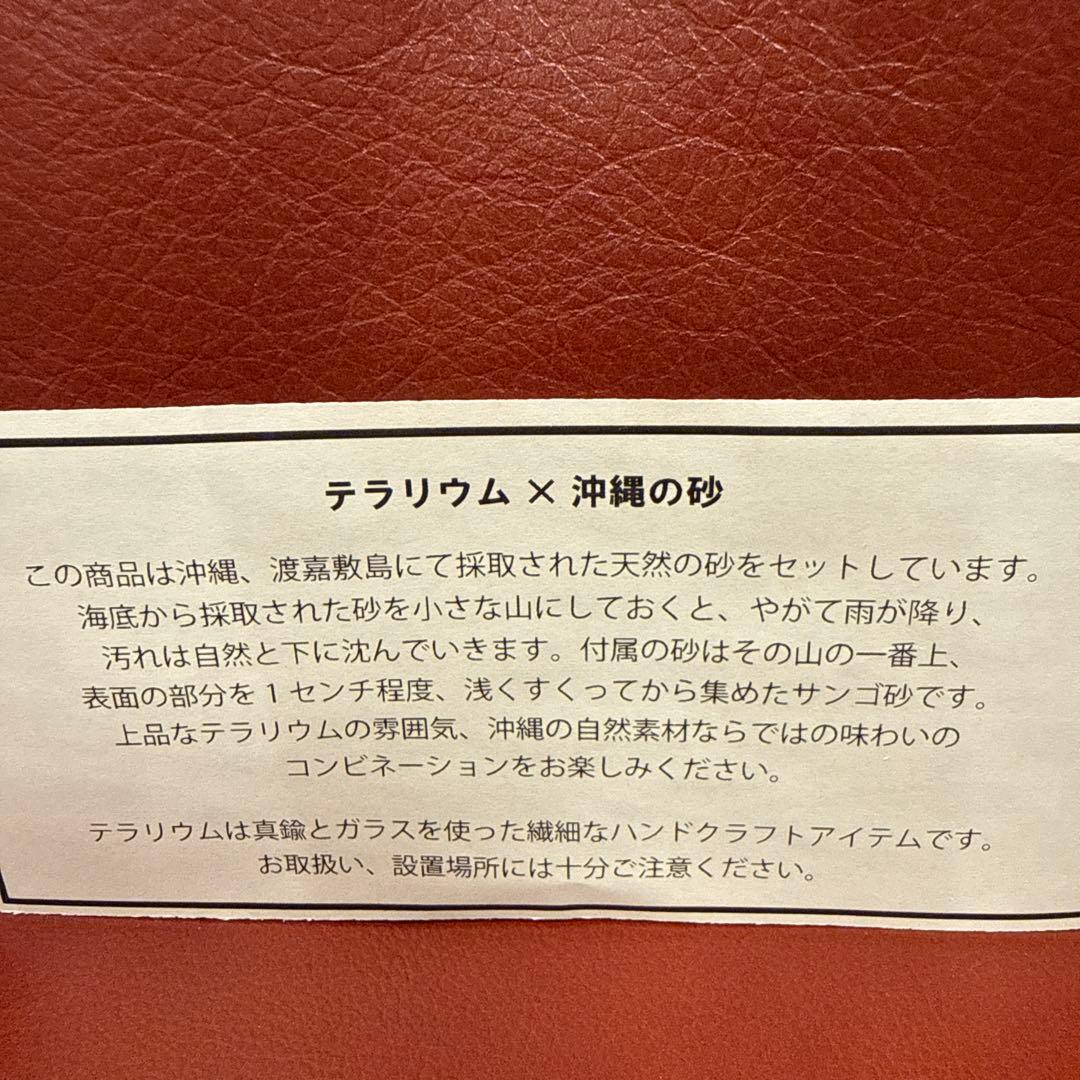 テラリウムセット 真鍮・ガラス製 沖縄の砂付