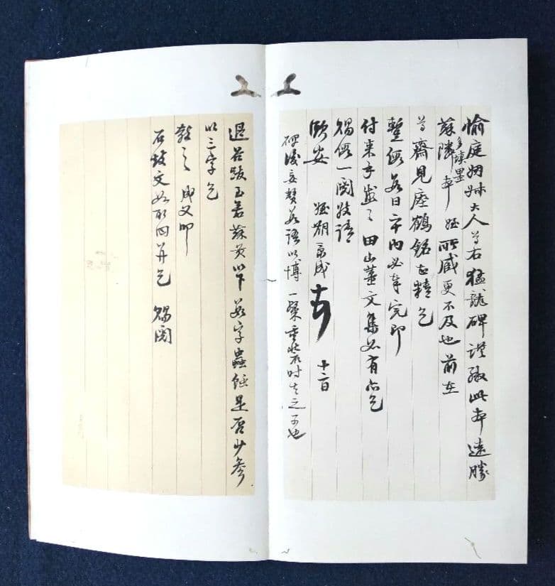 張猛龍碑 二玄社原色法帖