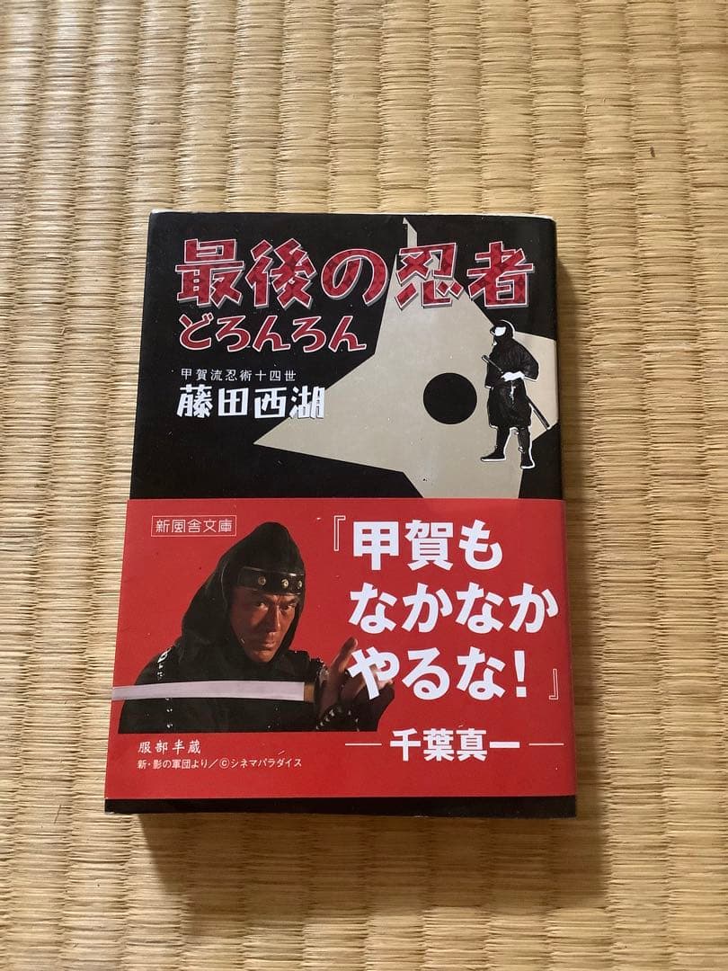 最後の忍者ドロンロン 藤田西湖
