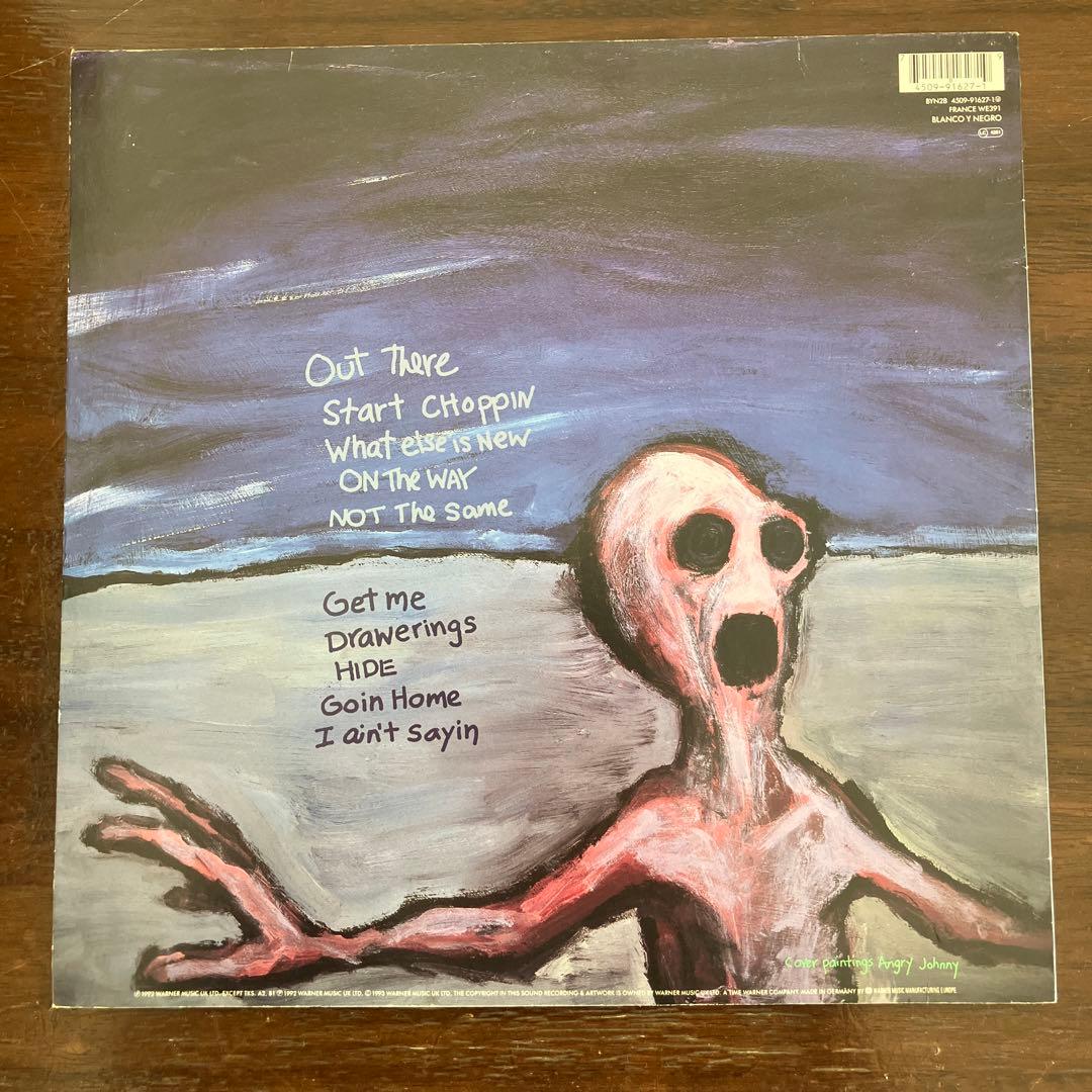 洋楽 DINOSAUR JR Where You Been