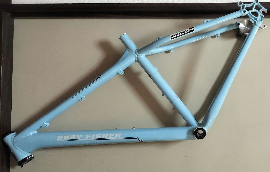 Gary Fisher Paragon 29 マウンテンバイクフレーム