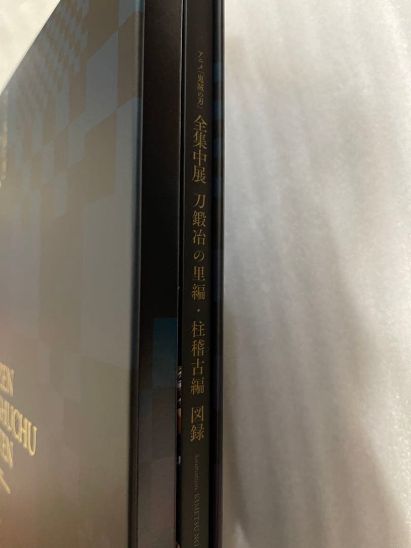 全集中展 ZEN SHUCHU TEN 図録 Blu-ray