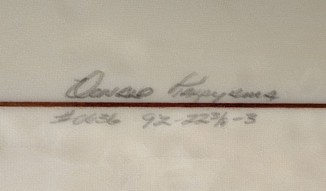 HPDドナルドタカヤマ ロングボード 9'2\"中古 レッドフィン
