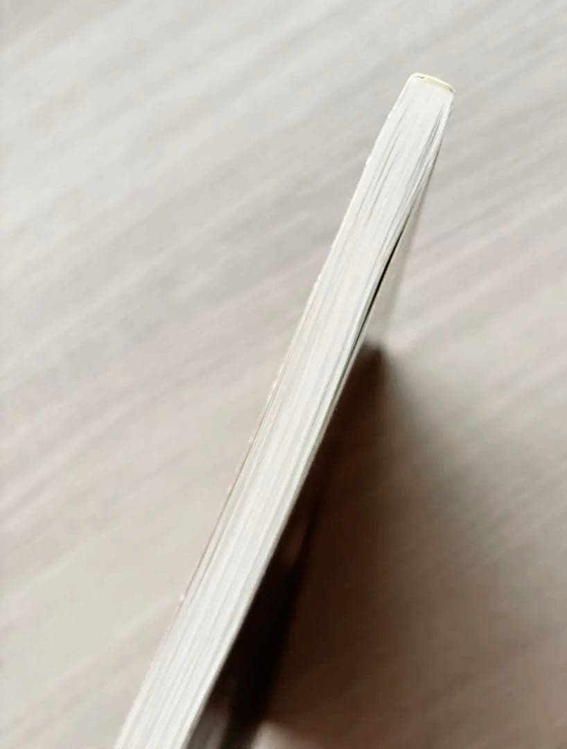 紅色天井艶妖奇譚 中条ローザ 九重 臘月 病める王 小説集 ファンブック