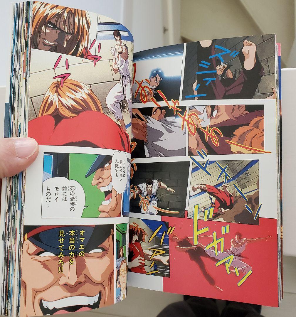 9*n様 ストリートファイターIIV 5巻 日本テレビアニメコミックス