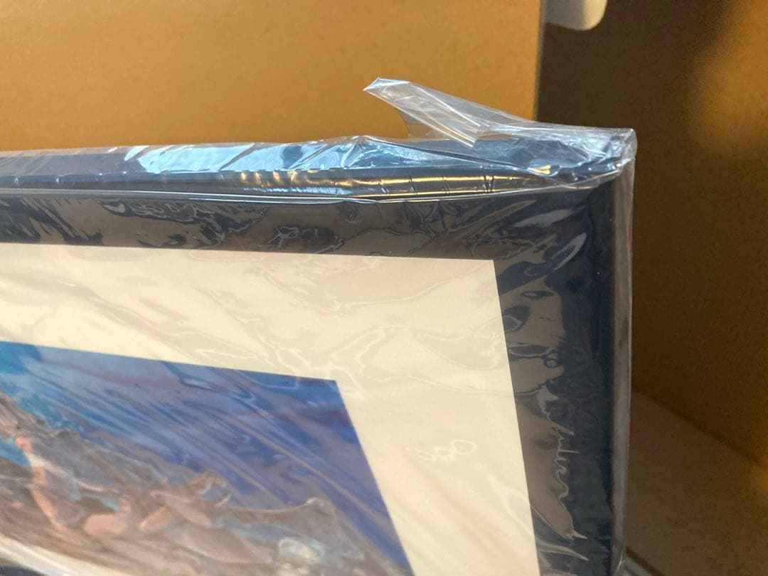 風の谷のナウシカ　DVDコレクターズ　BOX 新品　おまけ付き！
