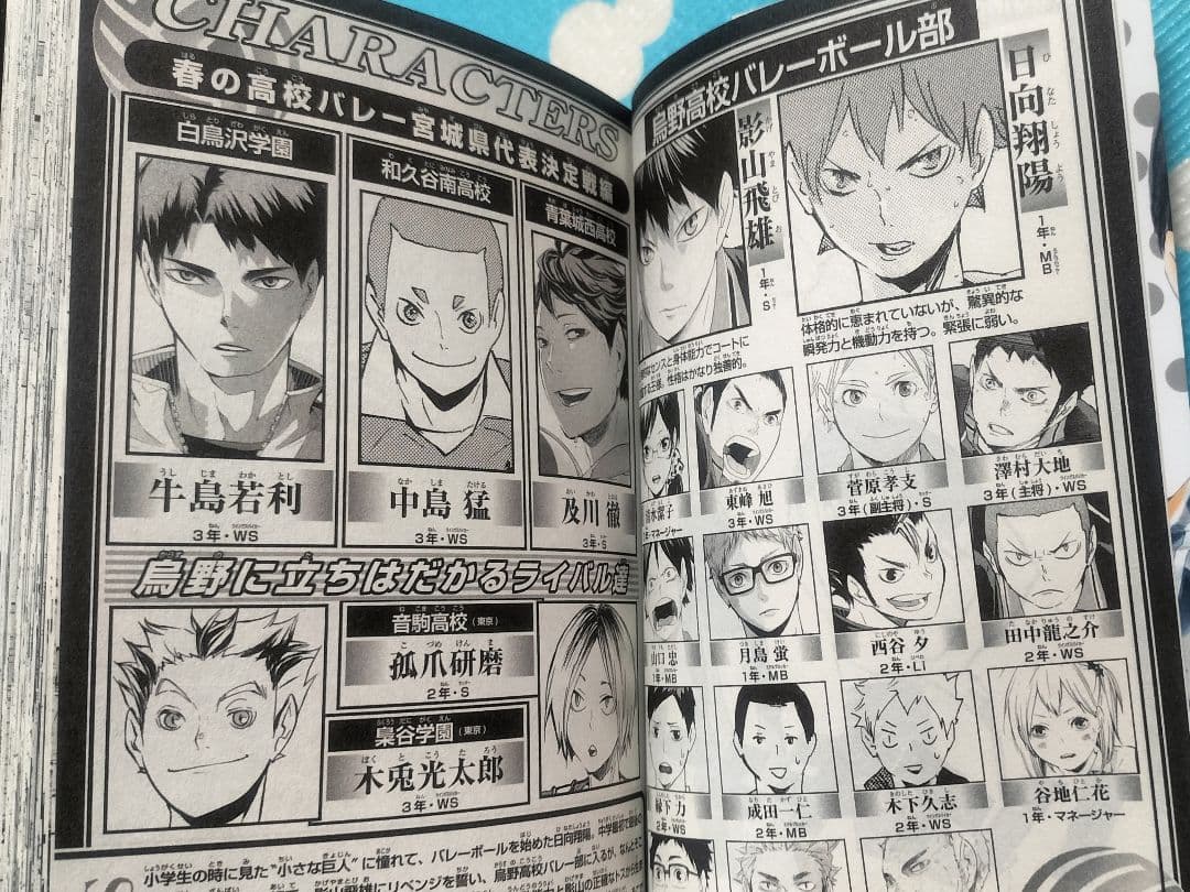✨ハイキュー!! 14 根性なしの戦い✨古舘春一著 初版本！ ジャンパラ 帯付き