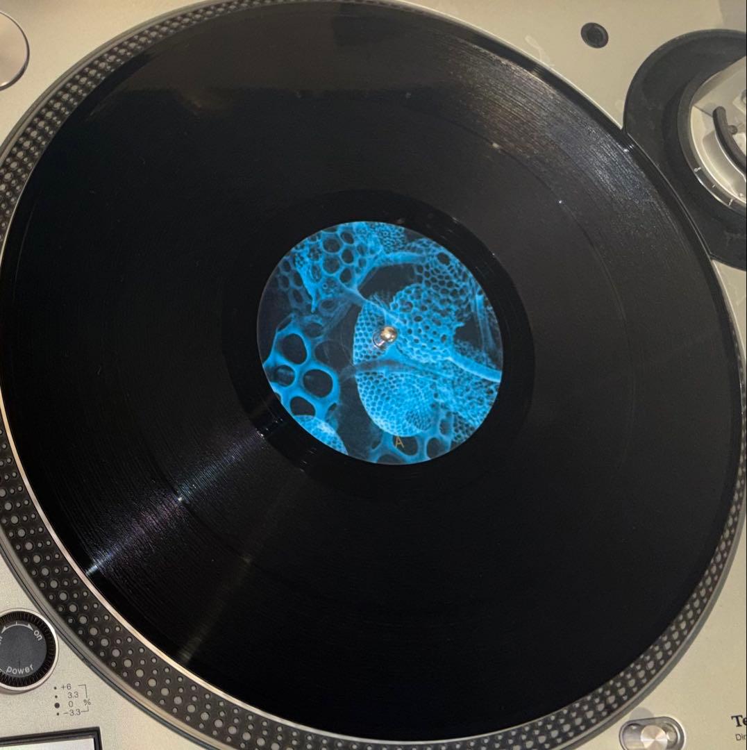 OLIVER HO JAMES RUSKIN レコード2枚セット