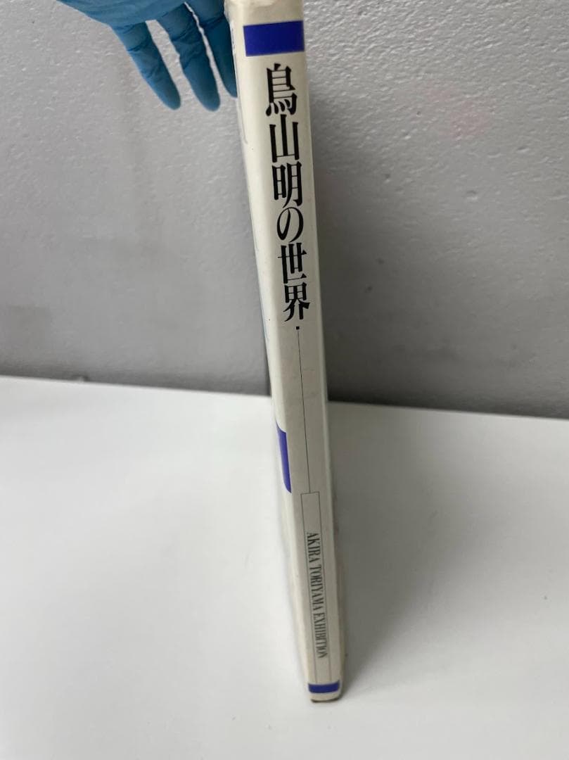 鳥山明の世界 1995年「鳥山明の世界」展実行委員会
