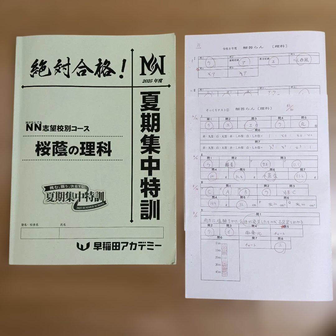 早稲田アカデミー　夏期集中特訓　桜蔭の国算理社　2025年度