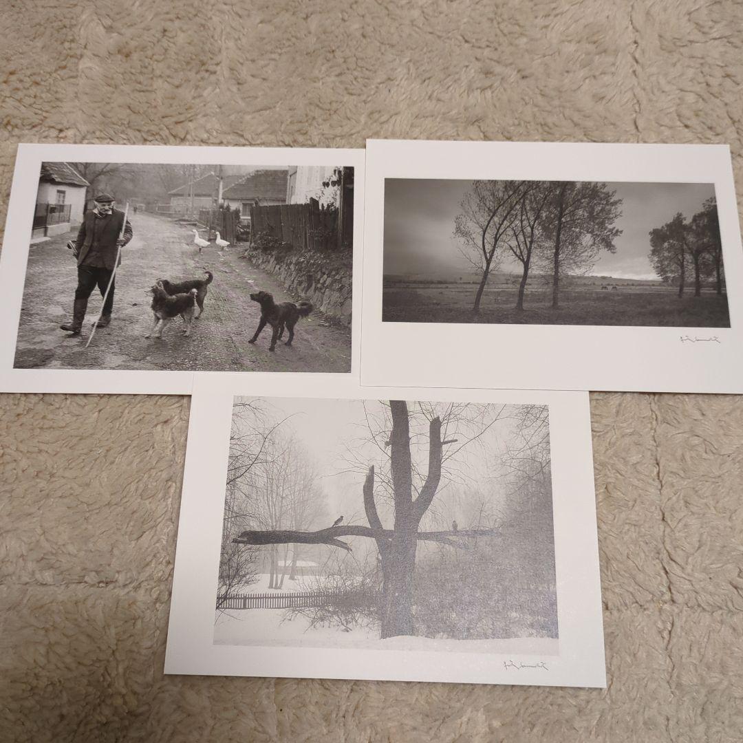PENTTI SAMMALLAHTI 　図録　写真集　展覧会　ポストカード8枚付