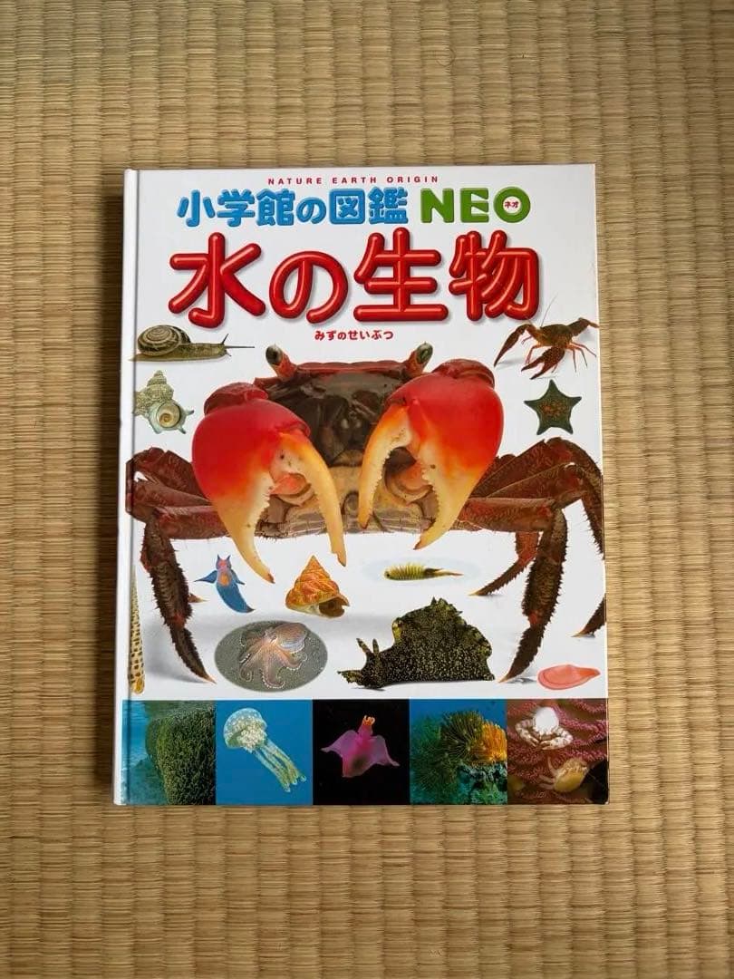小学館の図鑑neo 12冊セット