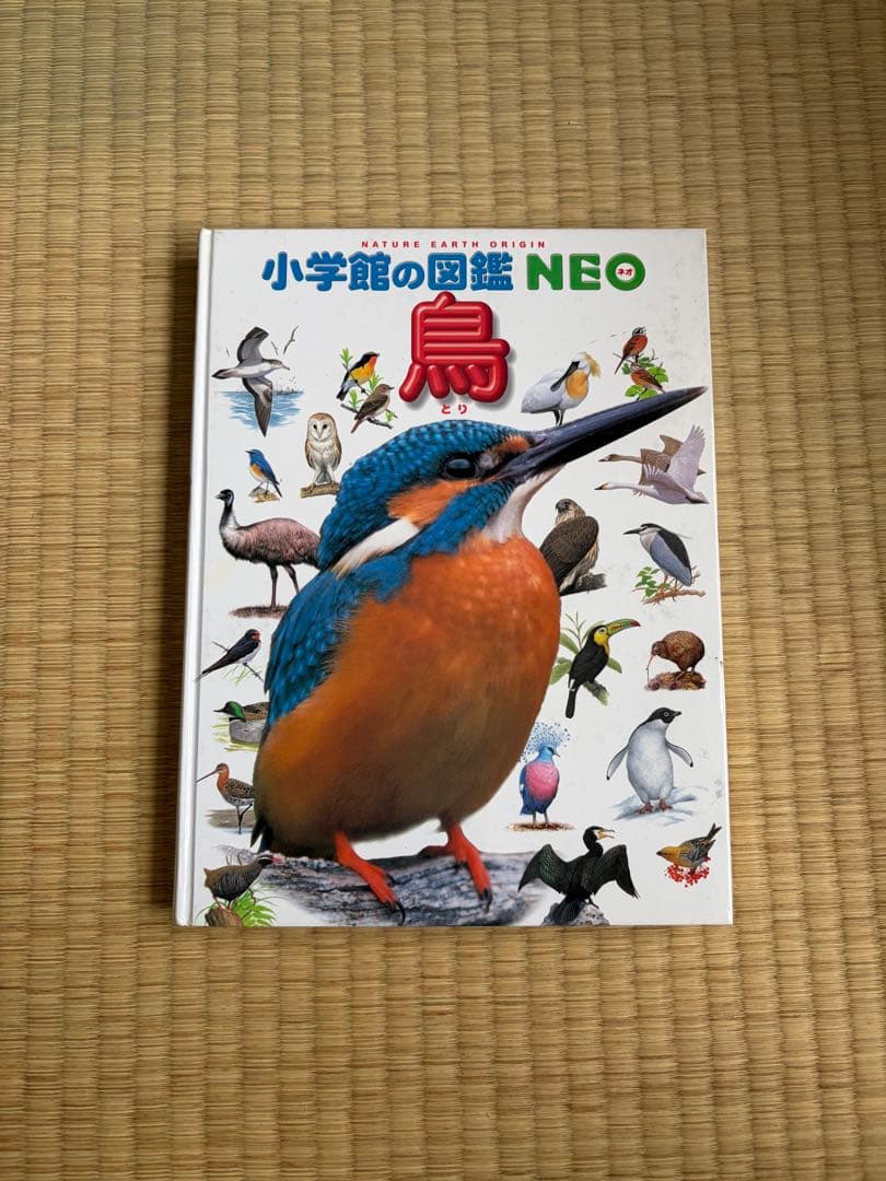 小学館の図鑑neo 12冊セット