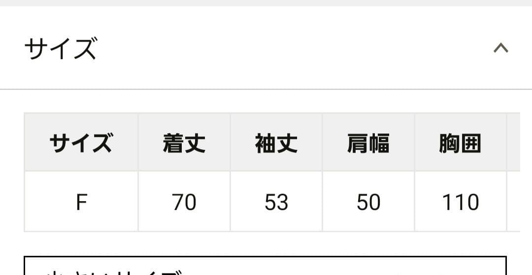 ラウンジドレス　LOUNGEDRESS 　ジョーゼット　インナーブラウス