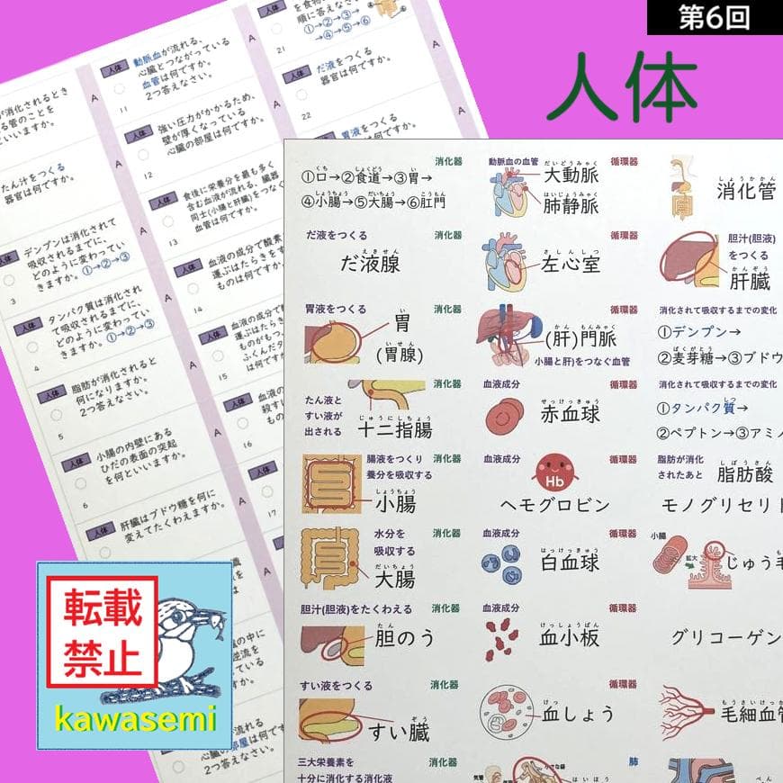 カット済☆最新版【中学受験】理科の基本事項 暗記カード フルセット 早稲アカb