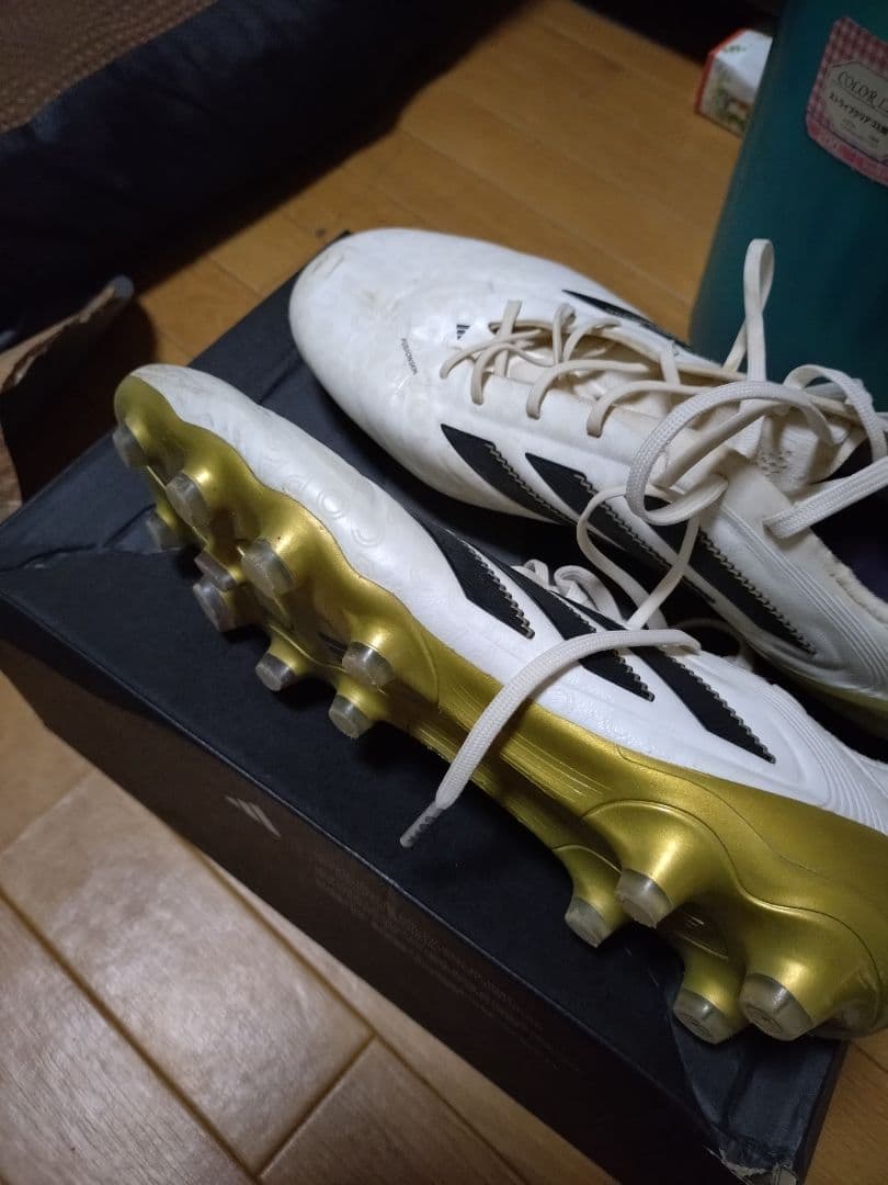 COPA Ⅱ