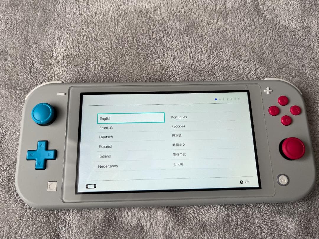 Nintendo Switch Lite ザシアン・ザマゼンタ　充電器付き箱無し