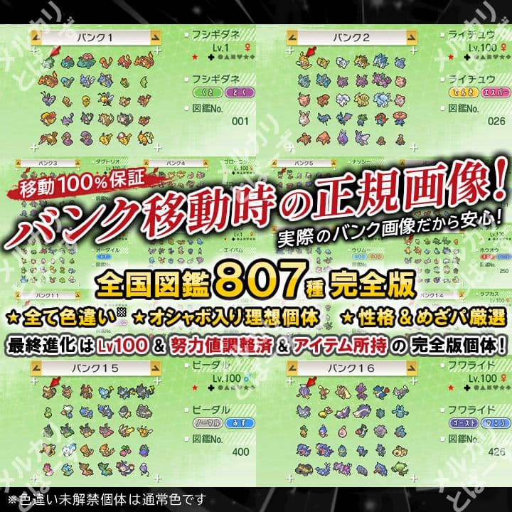即購入OK★最大数1016体★ケース付 ウルトラサン ポケットモンスター