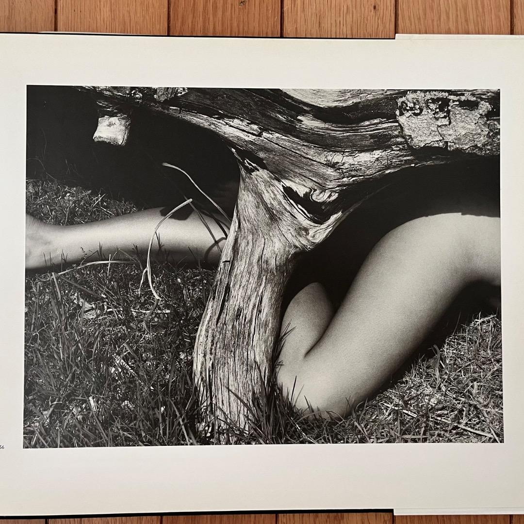 アート・デザイン・音楽 JOHN SWANNELL \"NAKED LANDSCAPE\"