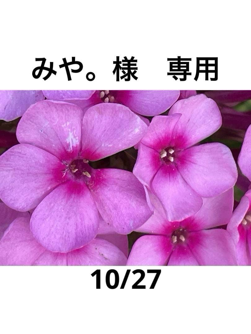 専用です。