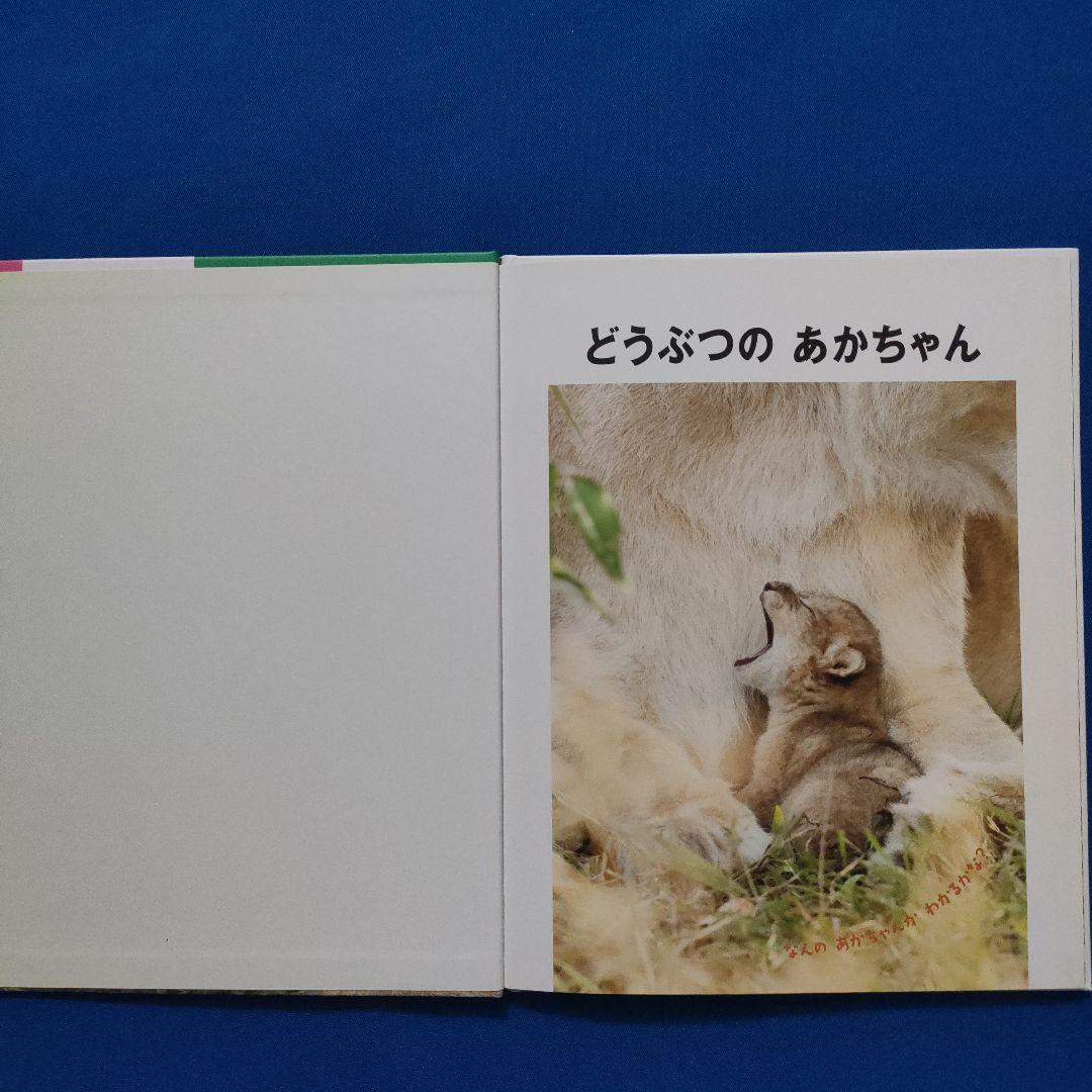 ビッグサイエンス　キンダーブックしぜん　どうぶつのあかちゃん　うまれる