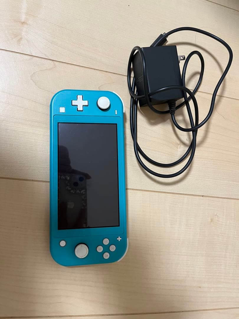 Nintendo Switch Light スイッチ ライト 充電ケーブル付