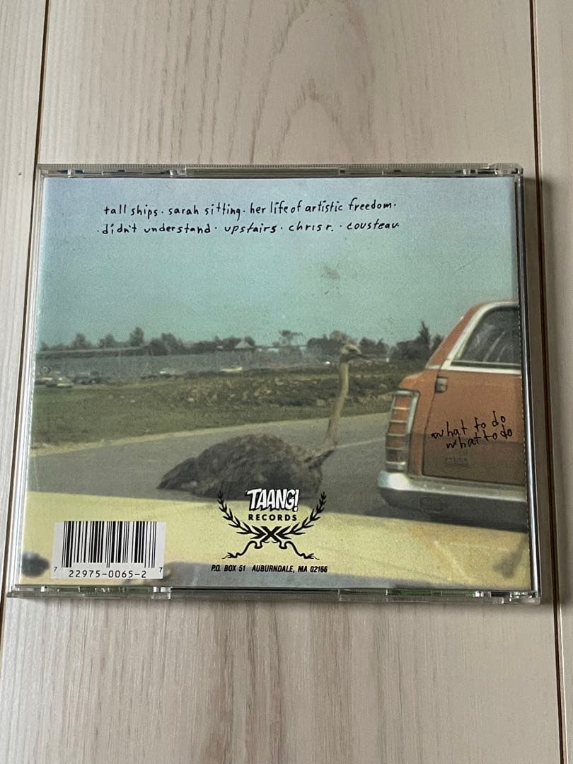 洋楽 Swirlies What to Do About Them T-65CD