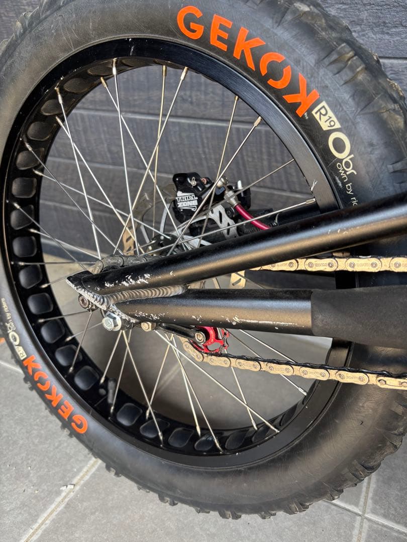 ECHO トライアル自転車　HOPEブレーキ付き　パーツおまけ付き