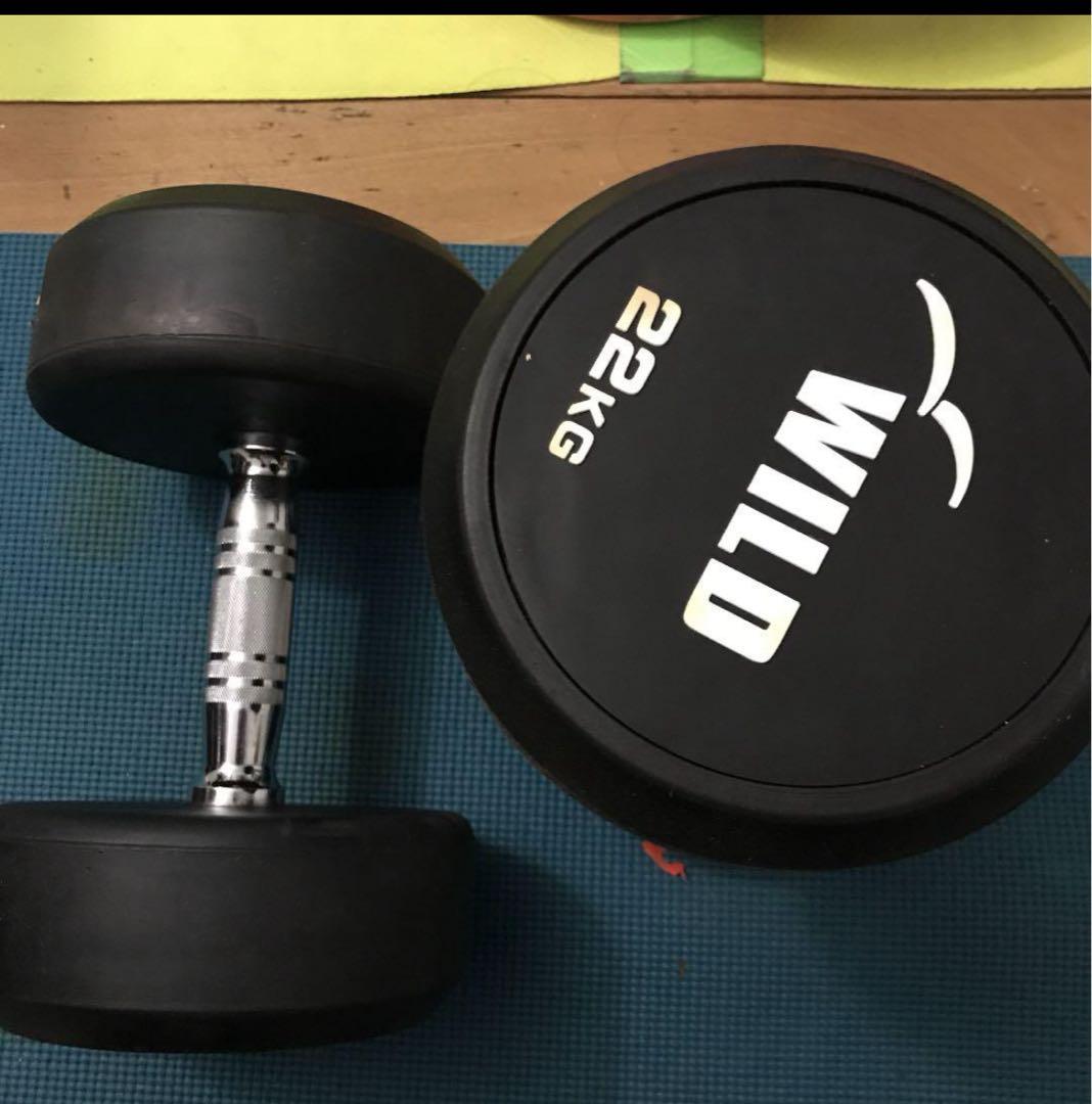 WILD ダンベル 22KG