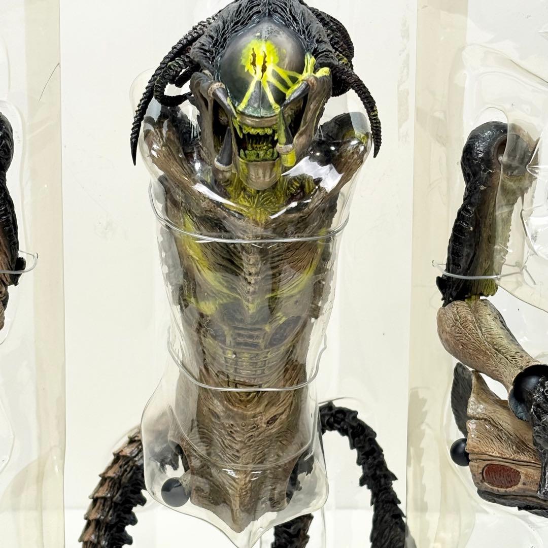 AVP2 エイリアンVSプレデター2 完全版 コレクターズBOX FOX限定