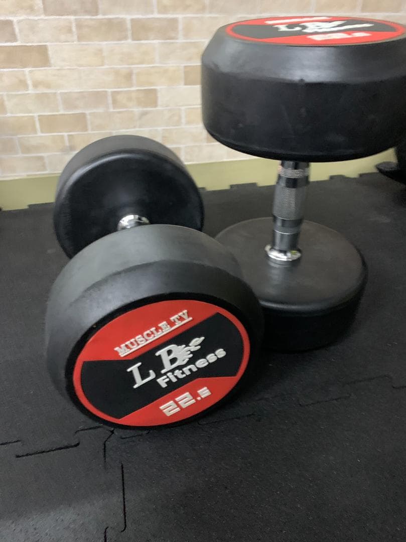 【半額販売】ラバーラウンドダンベル 20kg × 2個（合計40kg）