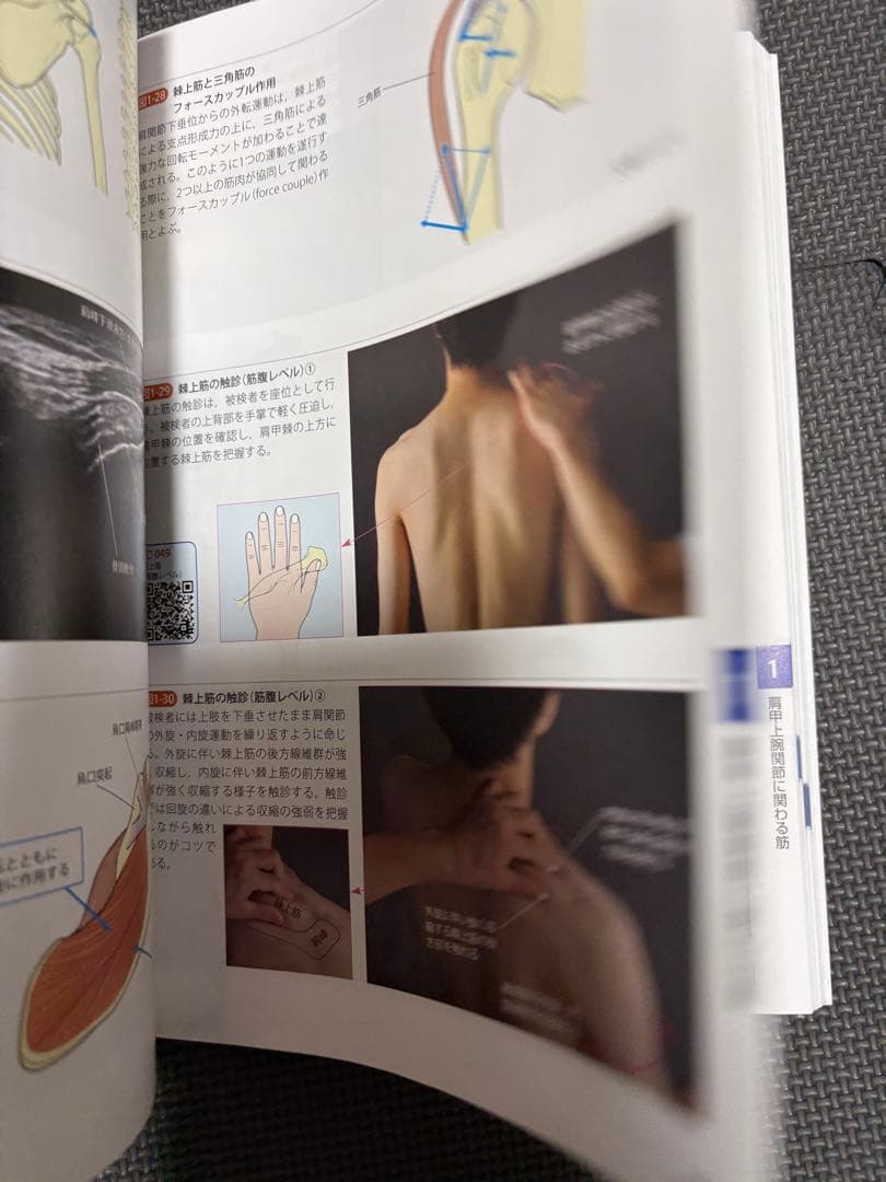 機能解剖学的触診技術 改訂第2版 2冊セット　理学療法士　作業療法士　リハビリ