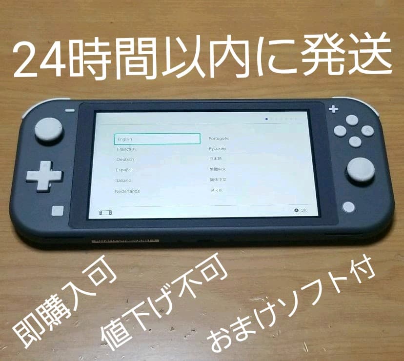Nintendo Switch Light 本体 付属品 おまけソフト付